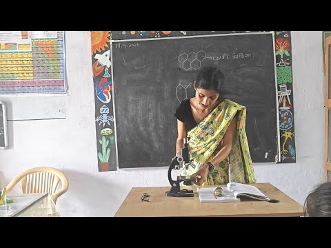 Class 9th | Parts Of Microscope | Chapter 5 |