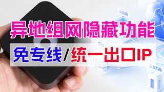 异地组网竟有隐藏功能？！免专线/统一出口IP，海外访问流媒体、直连总部系统无限制！蒲公英网络出口功能实测