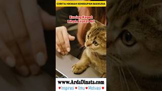 #motivation #kucing #inspiration #shots #cat Kucing Kaget Lihat Avatar AI! #KucingKaget #AvatarAI