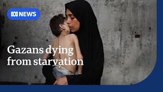 UN reports majority of Gazans dying of starvation are children | ABC NEWS