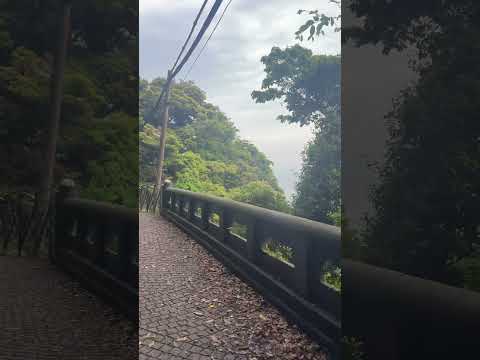 DJ江ノ島