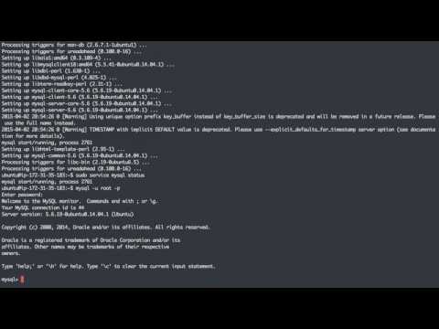 01 Installing MySQL (with Debconf)