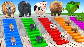 Long Slide Game With Cow Elephant Gorilla Hippopotamus Tiger 3d Animal Game Funny 3d Animals
