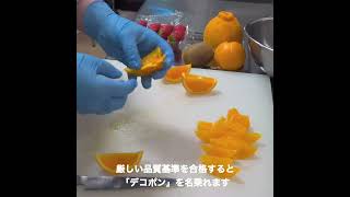 【ホシフルーツ】フルーツカット（デコポン）