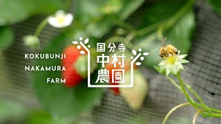 よりそう農業、国分寺中村農園。