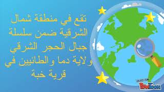 صفاء الحارثي