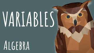 Variables & Constants - why use letters? ALGEBRA