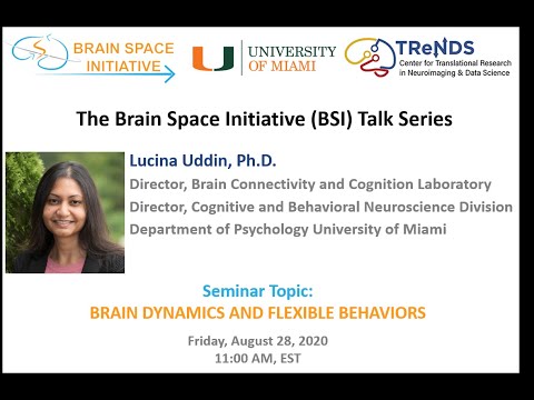 Brain dynamics and flexible behaviors