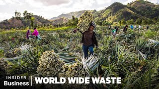 How People Profit Off Pineapple Scraps | World Wide Waste | Business Insider