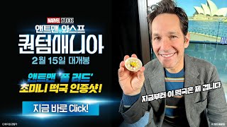 [앤트맨과 와스프: 퀀텀매니아] 폴 러드의 미니 떡국 감사 인사 영상