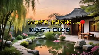《五音疗愈·养肾安神》，用心去感受！Chinese Healing Music