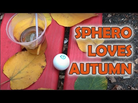 Sphero robot loves Autumn in Sofia Bulgaria