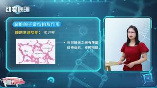 4 2肺水肿实训（陈脊宇）