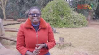 International Baccalaureate at Nairobi Waldorf School Trust