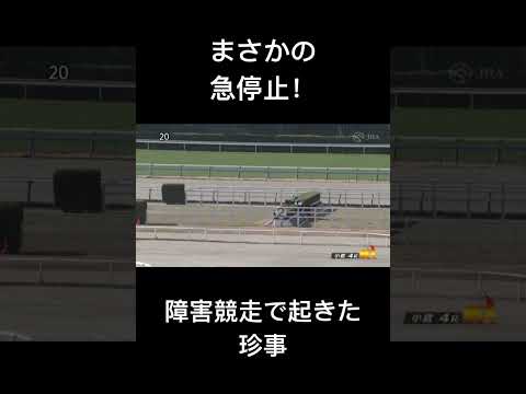 障害競争で起きたまさかの珍事　マイモーメント #競馬 #障害レース #shorts