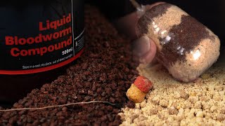 These Solid PVA Bags Are Perfect for Winter! Carp Fishing Insights 💥❄️