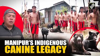 Manipur’s indigenous Haofa dog breed finds new recognition
