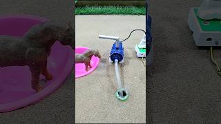 small motor water pump making mini tractor project # 521