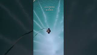 #adventure #trending #uttarakhand #viralvideo #bungeejump #bungeejumping #shots #shorts #viralvideo