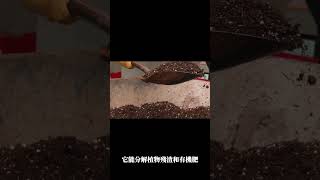 土壤的超級員工-光合菌的5個神奇效果