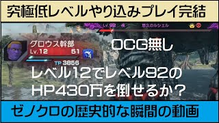【レベル12でOCG無し】究極低レベルやり込みプレイ完結編【ゼノブレイドクロスDE】