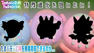 [Tamagotchi Paradise] I want to raise a Tamagotchi that evolves in a special way! [Tamagotchi Par...