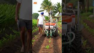 Precision meets tradition 🌿🤖A new chapter in turmeric farming