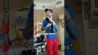 when you need your daily TikTok fix