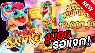 สล็อตงู งูน้อยรอแจก เบทแรกก็เอาเลยเจ้างู!!! |  Fortune Snake แนะนำเกม สล็อตpg