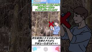 謎の動物見かけたんだが分かる人いる？【2ch面白いスレ】#shorts