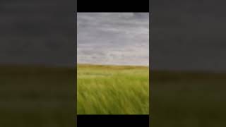 Sleeping Music for Deep Sleeping | Music for sleeping|Sleeping Music#shorts #sleep #sleepingmusics