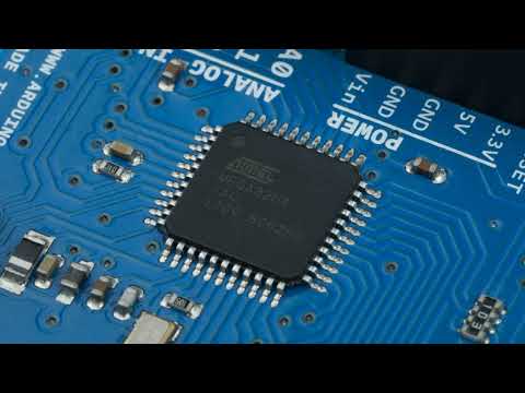 Mitch Davis Live Stream