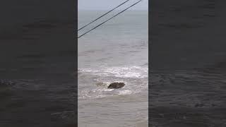 Vagator Beach||Goa Beach #beach #beachvibes #short #vagator