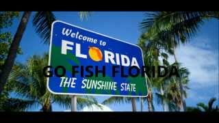 Web Expressions- Florida Fishing