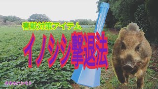 イノシシ対策アイテム登場！＜簡単設置型＞　タネのハシモト