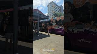 bus 261