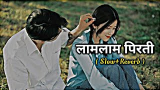 Lam Lam Pirati 💗💐 New Nepali Romantic Song [Slow Reverb] ft. Chhabi Raj Sunar, Santi Shree Pariyer