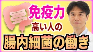 【腸内細菌】乳酸菌・ビフィズス菌が健康・免疫力・感染予防のカギである理由【ポストバイオティクス】