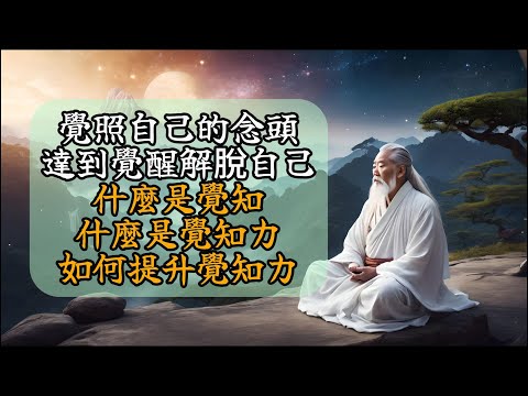 覺照自己的念頭達到覺醒、解脫自己、什麼是覺知、什麼是覺知力、如何提升覺知力？