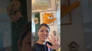 Nayana+, Korean food at Punggol Coast