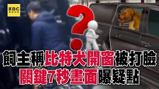 飼主稱「比特犬開窗」被打臉！ 關鍵7秒畫面曝疑點