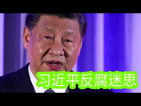 习近平反腐迷思 | China