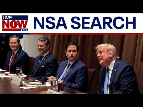 Trump national security team: Top candidates to replace Mike Waltz | LiveNOW from FOX