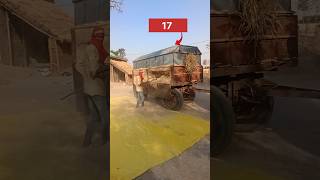 Earnings from Tractor Bhusa Machine Work: 1-Day Income Breakdown |@nitesh ka vlogs