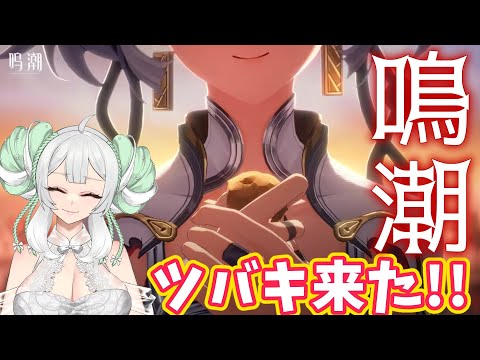 【鳴潮】ツバキちゃん来ましたね！とりあえずある石だけ回してツバキの連星任務見ます！【満天霞】#新人Vtuber　#ロリBBA #幻塔　#大陸版幻塔  #ガチャ　#鳴潮