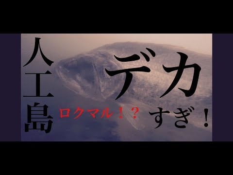 【衝撃映像】琵琶湖の人工島で足元にGoPro沈めたらバケモノおった