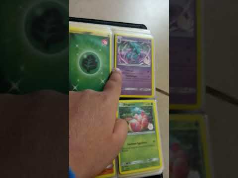 Inviting my Pokemon cards 1part