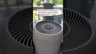 Must-have air purifier for pet hair & summer shedding #levoit