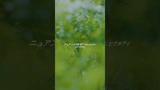Major 4th Single「ニュアンスで伝えて feat. ヒグチアイ」2024.5.1(wed)Digital Release #goodbyeapril #ヒグチアイ #shorts