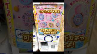 たまごっちのヘアコームガチャ🥚❤️#たまごっち #tamagotchi #y2k #平成 #ガチャ #ガチャガチャ  #shortvideo #shorts #short #shortsfeed